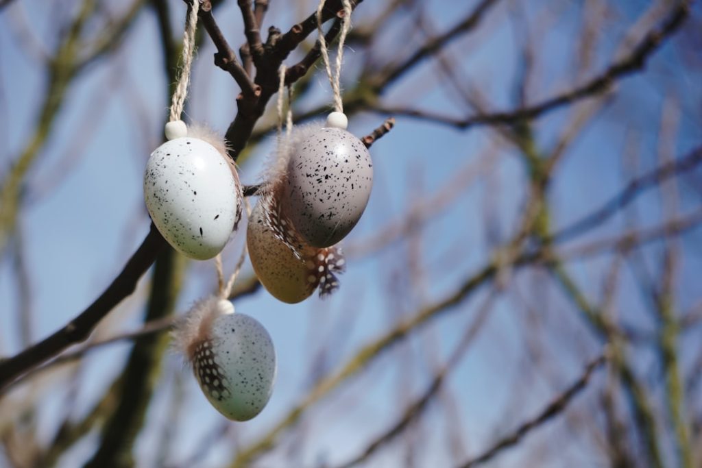 Een gekookt ei uit de airfryer: praktisch, lekker en snel